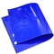 PE Material Cleanroom از تشک های چسبنده ESD 30 لایه آبی استفاده کنید
